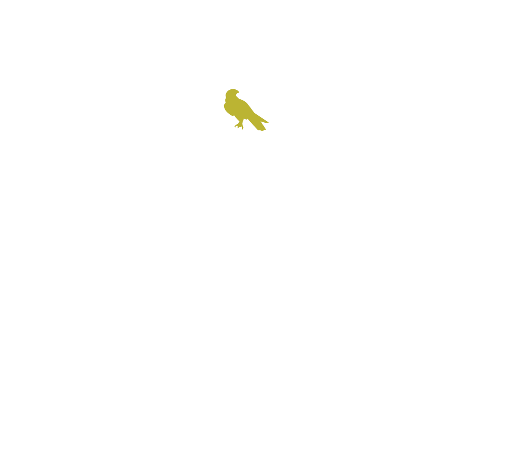 Albion Music Row Logo
